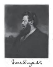 Walter Bagehot Quotes AboutLife