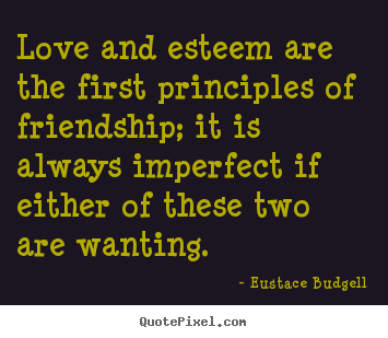 Create picture quote about friendship - Love and esteem are the first principles of friendship;..
