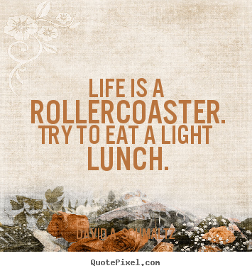 David A. Schmaltz picture quotes - Life is a rollercoaster. try to eat a light lunch. - Life quotes