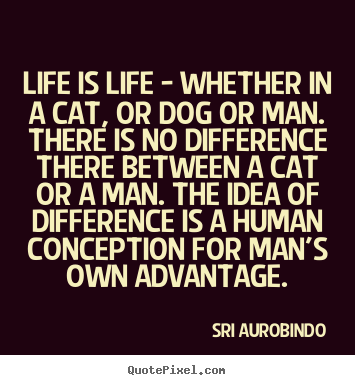 Quotes about life - Life is life - whether in a cat, or dog or man. there is no difference..
