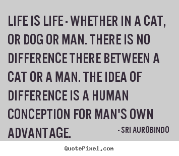 Life is life - whether in a cat, or dog or.. Sri Aurobindo great life quotes