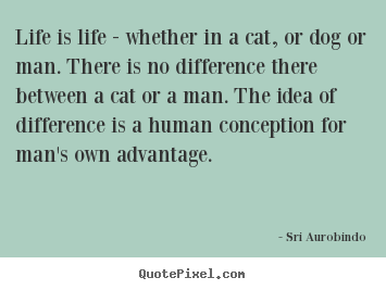 Quote about life - Life is life - whether in a cat, or dog or man. there is no..