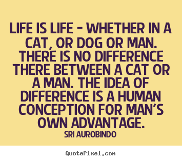 Life quotes - Life is life - whether in a cat, or dog or man. there is no..